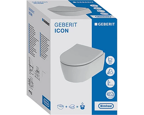 Купить Комплект унитаза с инсталляцией Geberit iCon Rimfree 500.060.TC.I с сиденьем Микролифт и Белой матовой клавишей смыва в магазине сантехники Santeh-Crystal.ru