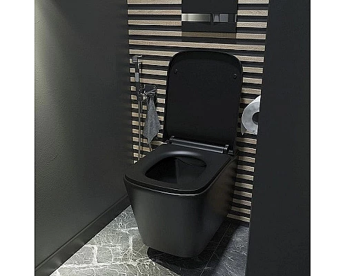 Купить Унитаз Iddis Bild BILR2BMi25 подвесной с сиденьем Микролифт в магазине сантехники Santeh-Crystal.ru