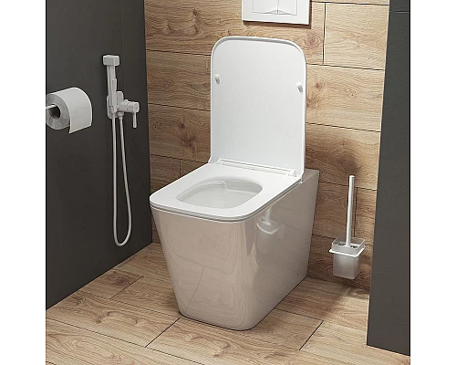 Приобрести Унитаз Iddis Bild BILRDSEi26 приставной с сиденьем Микролифт в магазине сантехники Santeh-Crystal.ru