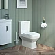 Купить Унитаз компакт Iddis Bild BIL2DSEi24 с бачком и сиденьем Микролифт в магазине сантехники Santeh-Crystal.ru