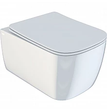 Унитаз Iddis Bridge BRIRDSEi25 подвесной с сиденьем Микролифт