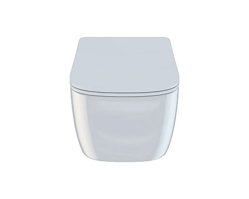 Приобрести Унитаз Iddis Bridge BRIRDSEi25 подвесной с сиденьем Микролифт в магазине сантехники Santeh-Crystal.ru