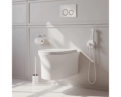 Купить Унитаз Iddis Sena SENRDSEi25 подвесной с сиденьем Микролифт в магазине сантехники Santeh-Crystal.ru