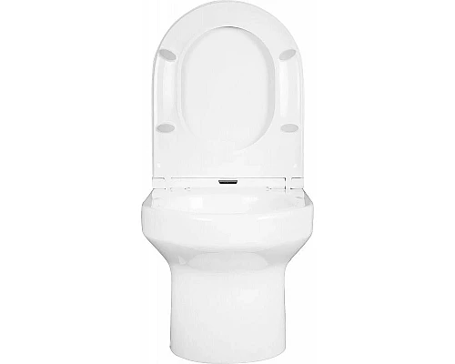 Приобрести Комплект унитаза с инсталляцией Jacob Delafon Elite E21755RU-00 с сиденьем Микролифт и Белой клавишей смыва в магазине сантехники Santeh-Crystal.ru