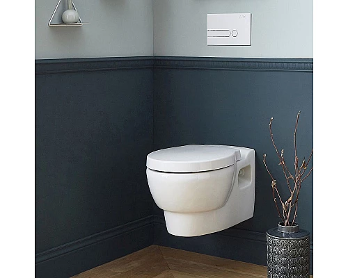 Заказать Унитаз Jacob Delafon Ove E1585-00 подвесной с сиденьем Микролифт в магазине сантехники Santeh-Crystal.ru