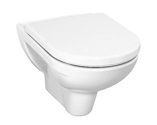 Заказать Унитаз Laufen Pro 8.2095.0 подвесной без сиденья в магазине сантехники Santeh-Crystal.ru