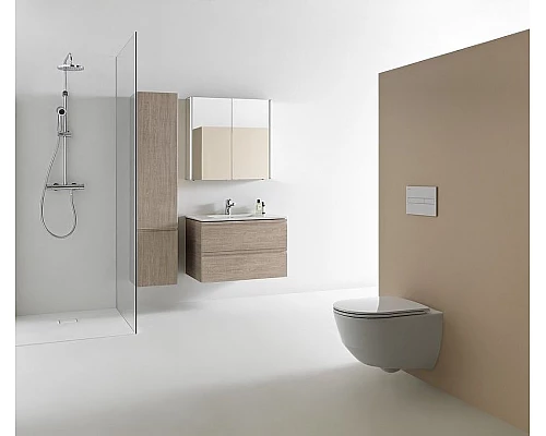 Приобрести Унитаз Laufen Pro 8.2095.6.400.000.1 подвесной без сиденья в магазине сантехники Santeh-Crystal.ru