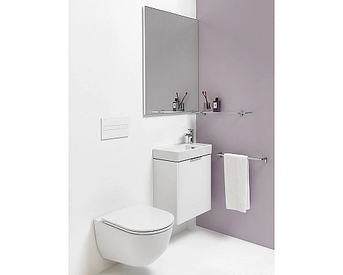 Приобрести Унитаз Laufen Pro 8.2095.6.400.000.1 подвесной без сиденья в магазине сантехники Santeh-Crystal.ru