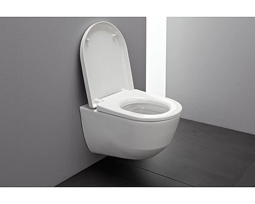 Купить Унитаз Laufen Pro Rimless 8.2096.6 подвесной без сиденья в магазине сантехники Santeh-Crystal.ru