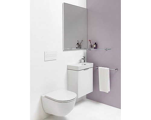 Купить Унитаз Laufen Pro Rimless 8.2096.6 подвесной без сиденья в магазине сантехники Santeh-Crystal.ru