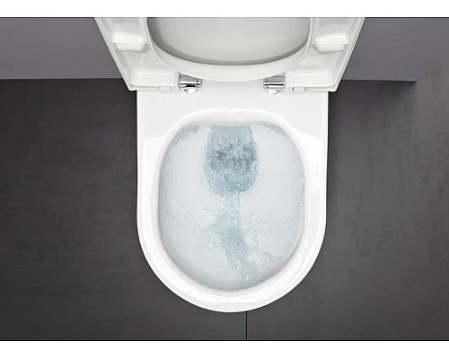 Заказать Унитаз Laufen Pro Rimless 8.2096.5 подвесной без сиденья в магазине сантехники Santeh-Crystal.ru