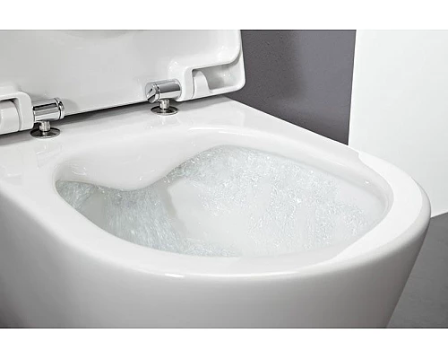 Заказать Унитаз Laufen Pro Rimless 8.2096.5 подвесной без сиденья в магазине сантехники Santeh-Crystal.ru