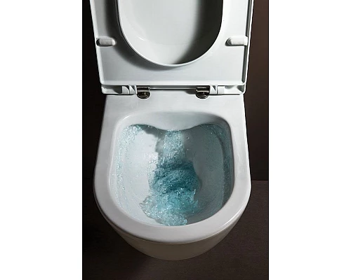 Заказать Унитаз Laufen Pro Rimless 8.2096.5 подвесной без сиденья в магазине сантехники Santeh-Crystal.ru