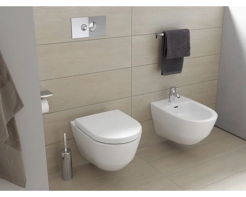 Заказать Унитаз Laufen Pro Rimless 8.2096.5 подвесной без сиденья в магазине сантехники Santeh-Crystal.ru