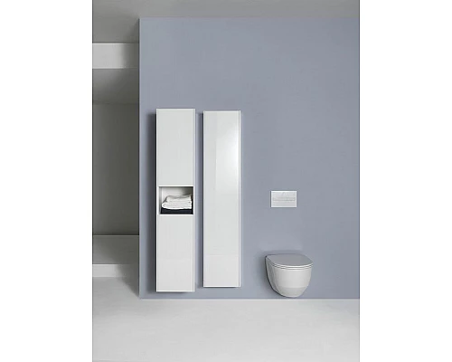 Заказать Унитаз Laufen Pro Rimless 8.2096.5 подвесной без сиденья в магазине сантехники Santeh-Crystal.ru