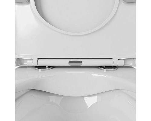 Приобрести Унитаз компакт Owl 1975 Artic Cirkel-G OWLT190901 без бачка с сиденьем Микролифт в магазине сантехники Santeh-Crystal.ru