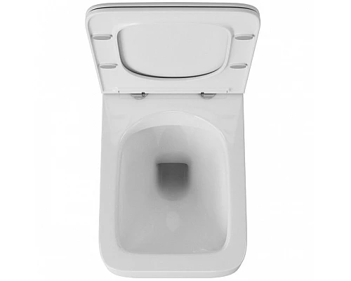 Купить Унитаз Owl 1975 Eld Ruta-H OWLT190601 подвесной с сиденьем Микролифт в магазине сантехники Santeh-Crystal.ru