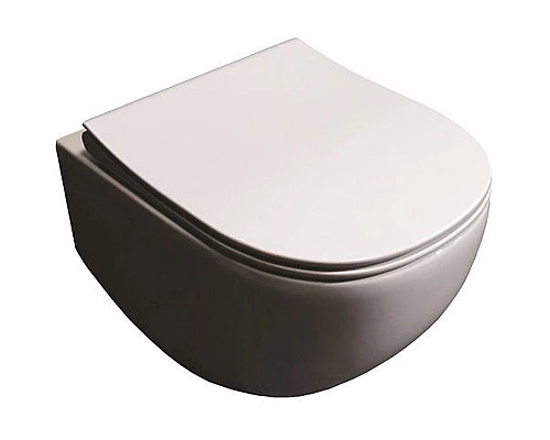 Заказать Унитаз Pestan Fluenta Rimless 40006661 подвесной с сидением Микролифт в магазине сантехники Santeh-Crystal.ru