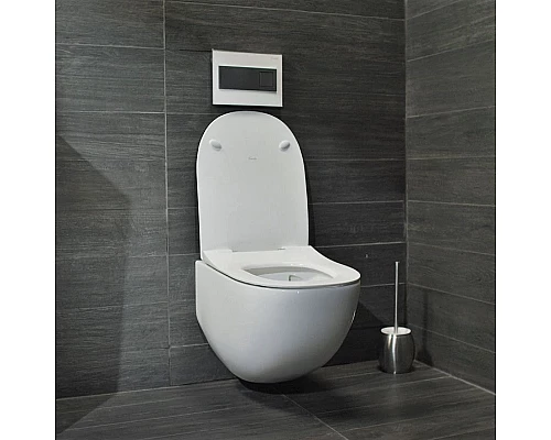 Заказать Унитаз Pestan Fluenta Rimless 40006661 подвесной с сидением Микролифт в магазине сантехники Santeh-Crystal.ru