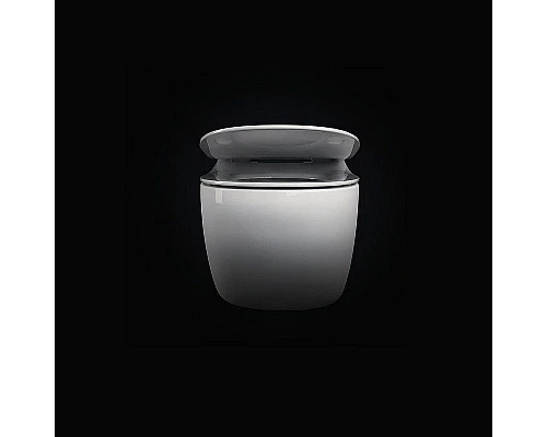 Заказать Унитаз Pestan Fluenta Rimless 40006661 подвесной с сидением Микролифт в магазине сантехники Santeh-Crystal.ru