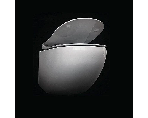 Заказать Унитаз Pestan Fluenta Rimless 40006661 подвесной с сидением Микролифт в магазине сантехники Santeh-Crystal.ru