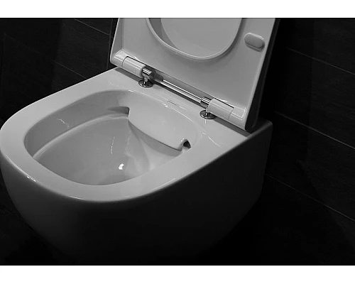 Заказать Унитаз Pestan Fluenta Rimless 40006661 подвесной с сидением Микролифт в магазине сантехники Santeh-Crystal.ru