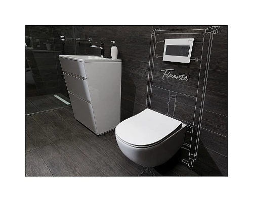 Заказать Унитаз Pestan Fluenta Rimless 40006661 подвесной с сидением Микролифт в магазине сантехники Santeh-Crystal.ru
