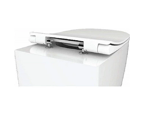 Заказать Унитаз Pestan Fluenta Rimless 40006661 подвесной с сидением Микролифт в магазине сантехники Santeh-Crystal.ru