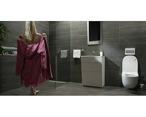 Заказать Унитаз Pestan Fluenta Rimless 40006661 подвесной с сидением Микролифт в магазине сантехники Santeh-Crystal.ru