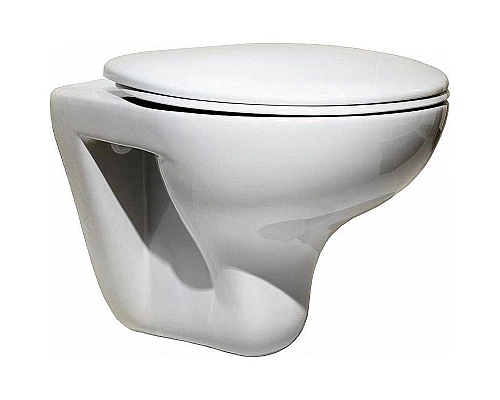 Купить Унитаз Roca Mateo 346200000 подвесной без сиденья в магазине сантехники Santeh-Crystal.ru