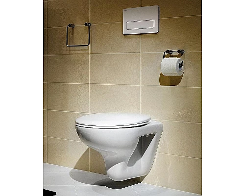 Купить Унитаз Roca Mateo 346200000 подвесной без сиденья в магазине сантехники Santeh-Crystal.ru