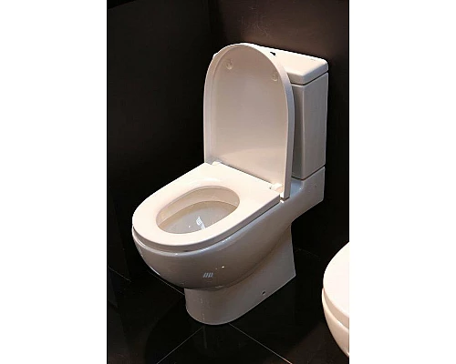 Купить Унитаз компакт Roca Meridian 342247000 без бачка и сиденья в магазине сантехники Santeh-Crystal.ru