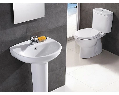 Заказать Унитаз компакт Roca Victoria 342399000 без бачка и сиденья в магазине сантехники Santeh-Crystal.ru