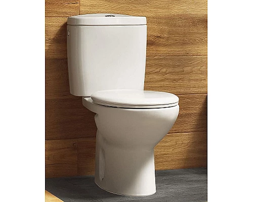 Заказать Унитаз компакт Roca Victoria 342399000 без бачка и сиденья в магазине сантехники Santeh-Crystal.ru
