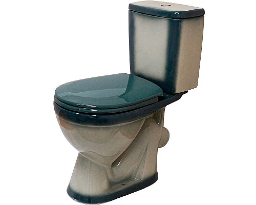 Заказать Унитаз компакт Rosa Лира 4620008192062 Зеленый декор с бачком и сиденьем в магазине сантехники Santeh-Crystal.ru