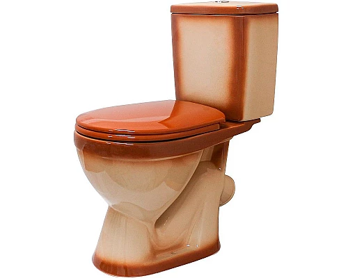 Купить Унитаз компакт Rosa Лира 4620008192086 Коричневый декор с бачком и сиденьем в магазине сантехники Santeh-Crystal.ru