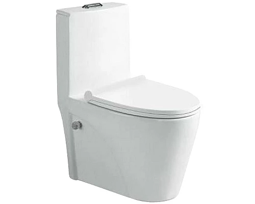 Приобрести Унитаз биде SantiLine SL-5012SM-BD с сиденьем Микролифт в магазине сантехники Santeh-Crystal.ru