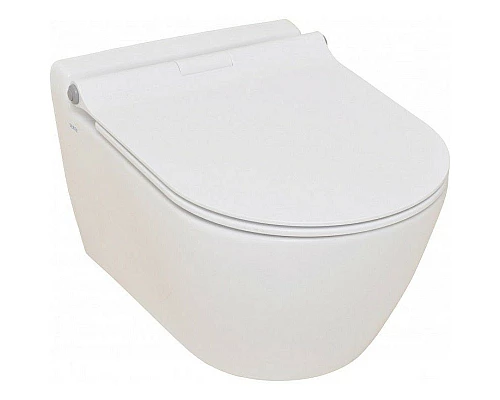 Заказать Унитаз биде Serel Smart SM25SLBM подвесной с сиденьем Микролифт в магазине сантехники Santeh-Crystal.ru