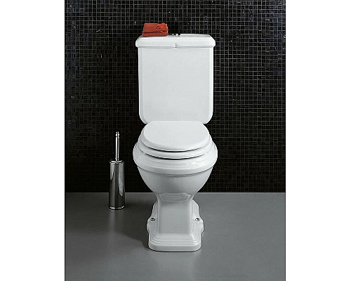 Заказать Унитаз компакт Simas Arcade AR821bi без бачка и сиденья в магазине сантехники Santeh-Crystal.ru