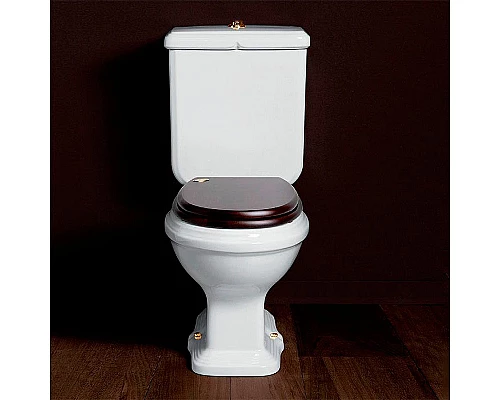 Заказать Унитаз компакт Simas Arcade AR821bi без бачка и сиденья в магазине сантехники Santeh-Crystal.ru