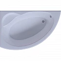 Акриловая ванна Aquatek Аякс 2 170x100 L AYK170-0000085 без гидромассажа с фронтальной панелью с каркасом (вклеенный) со слив-переливом