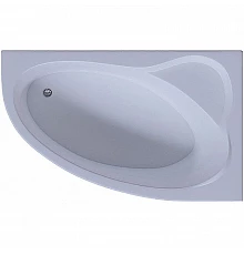 Акриловая ванна Aquatek Фиджи 170х110 R FID170-0000010 без гидромассажа без панелей с каркасом (вклеенный) со слив-переливом