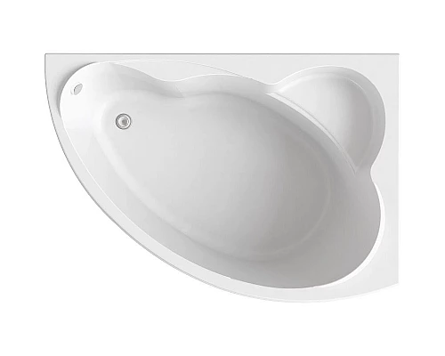 Заказать Акриловая ванна Bas Лагуна 170x110 R В 00020 без гидромассажа в магазине сантехники Santeh-Crystal.ru