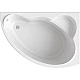 Заказать Акриловая ванна Bas Лагуна 170x110 R В 00020 без гидромассажа в магазине сантехники Santeh-Crystal.ru