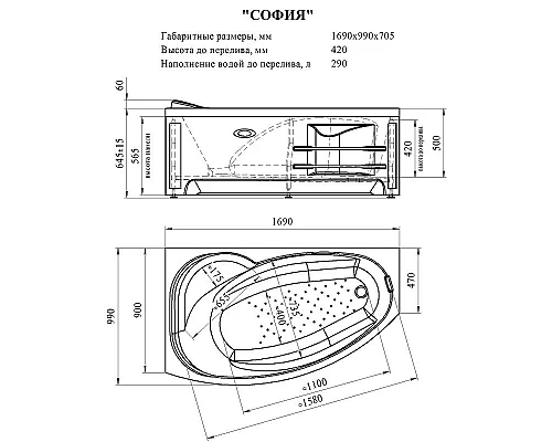 Купить Акриловая ванна Radomir Vannesa София 169х99 R 2-75-2-2-0-223 с гидромассажем Классик Хром в магазине сантехники Santeh-Crystal.ru