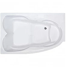 Акриловая ванна Royal Bath Shakespeare 170x110 L RB652100K-L без гидромассажа
