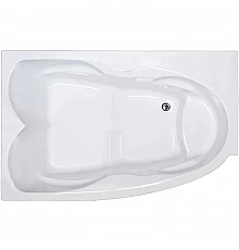 Акриловая ванна Royal Bath Shakespeare 170x110 RB652100SB-L без гидромассажа