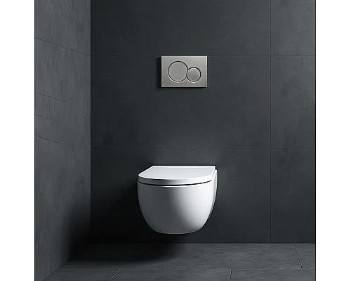 Кнопка смыва для инсталляции WONZON & WOGHAND, Темный графит (WW-IB232-BGM)