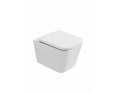 Унитаз подвесной безободковый WONZON & WOGHAND RONA, белый матовый (WW-UP2216-MW)