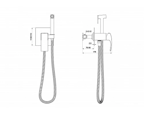 Приобрести Смеситель с гигиеническим душем встраиваемый WONZON & WOGHAND, Хром (WW-88829009-CR) в магазине сантехники Santeh-Crystal.ru